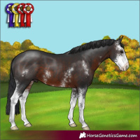 Horse Color:Brown Sabino