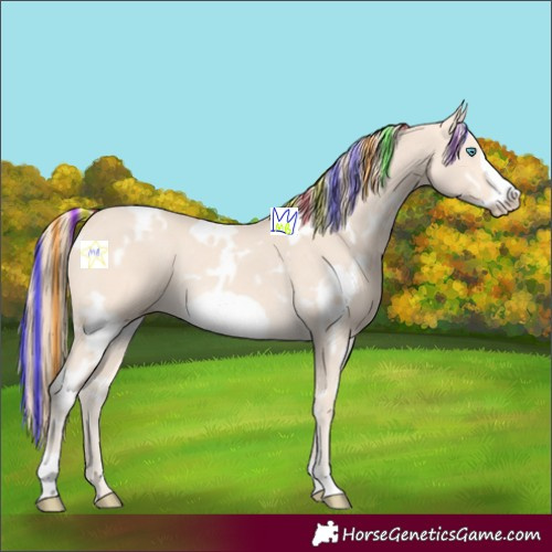 Horse Color:Painted White Spotted Perlino Frame Rabicano 