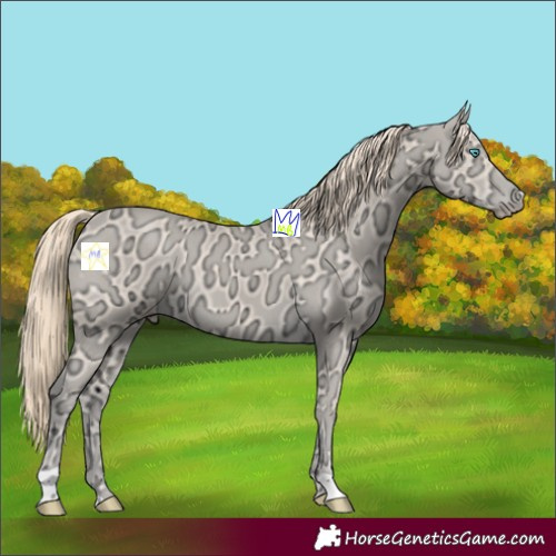 Horse Color:Perlino Ice 