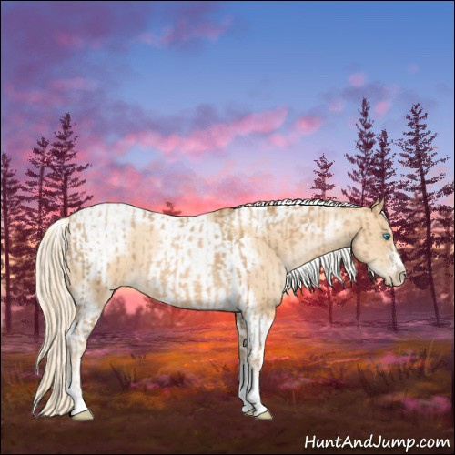 Horse Color:Chocolate Palomino Pearl Tobiano  and Gold Cream Champagne Pearl Tobiano Frame 