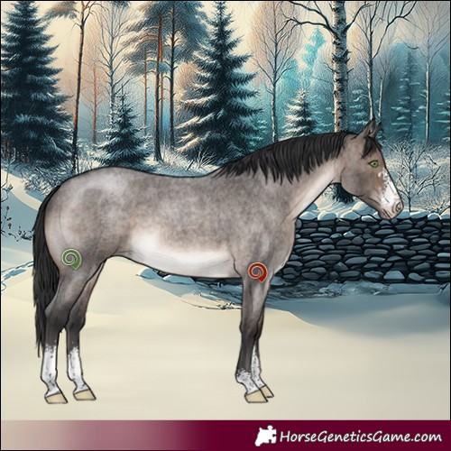 Horse Color:Brown Roan Dun Mushroom Sabino Brindle 