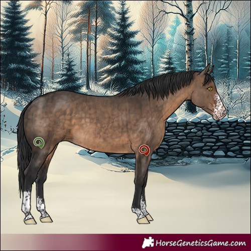 Horse Color:Brown Dun Sabino Brindle 