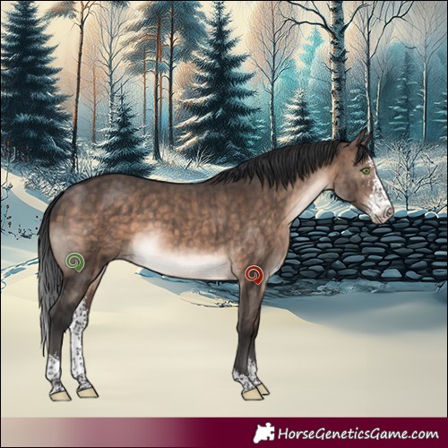 Horse Color:Brown Dun Mushroom Sabino Brindle 