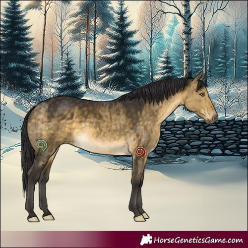 Horse Color:Buckskin Dun Rabicano Brindle 