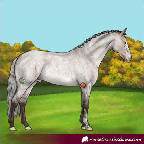 Horse Color:Silver Brown Roan Dun Mushroom Sabino Brindle 