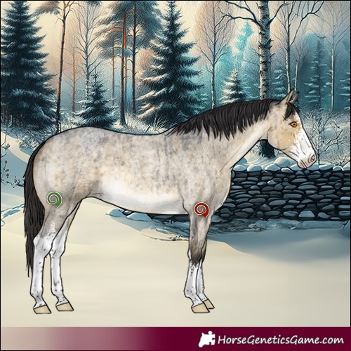 Horse Color:Buckskin Roan Dun Mushroom Sabino Brindle 