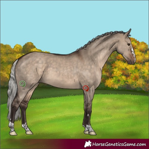 Horse Color:Silver Brown Dun 