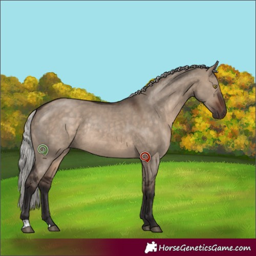 Horse Color:Silver Brown Dun Rabicano 