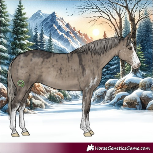 Horse Color:Silver Smoky Grullo Sabino Brindle
