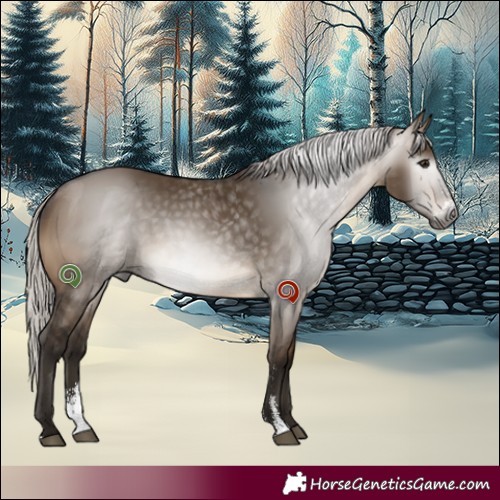 Horse Color:Gray Silver Brown Dun Sabino Rabicano 