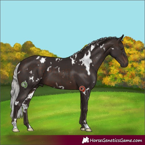 Horse Color:White Spotted Silver Brown Mushroom 