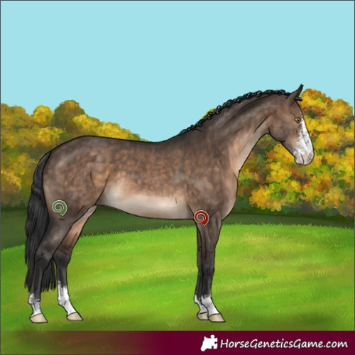 Horse Color:Brown Dun Sabino Brindle 