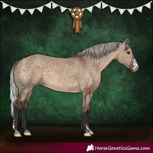 Horse Color:Silver Brown Dun Sabino 