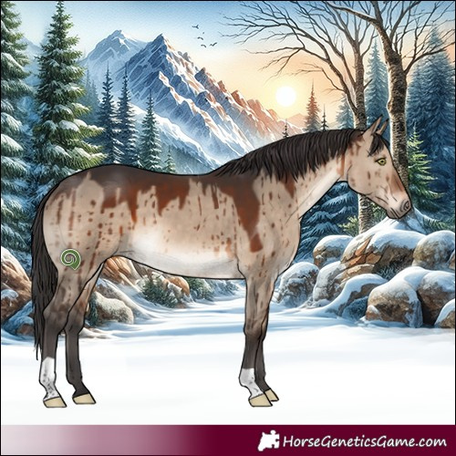 Horse Color:Brown Dun Brindle 