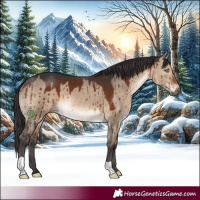 Horse Color:Brown Dun Brindle 