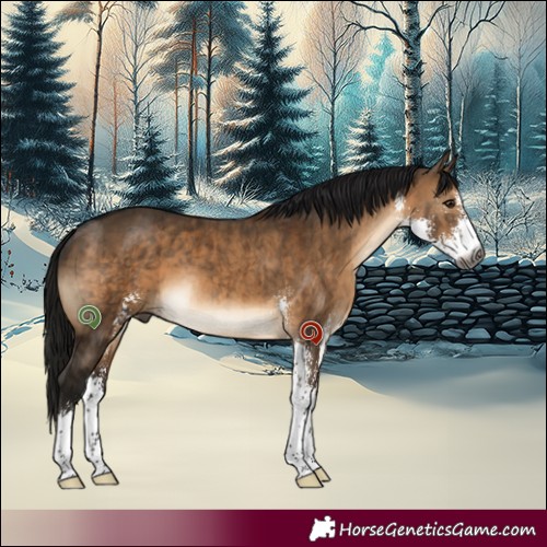 Horse Color:Gray Brown Dun Sabino Brindle 