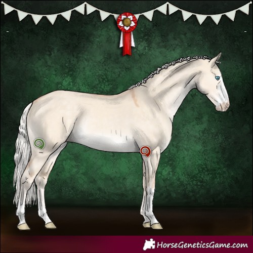 Horse Color:Silver Perlino Dun Sabino Rabicano 