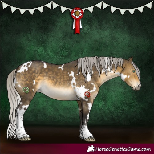 Horse Color:White Spotted Silver Buckskin Dun Mushroom Sabino 