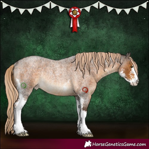 Horse Color:Chocolate Palomino Roan Sabino Rabicano 