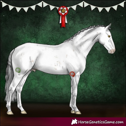 Horse Color:Brown Dun Sabino Brindle 