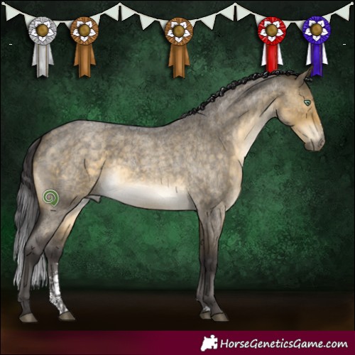 Horse Color:Buckskin Roan Dun Mushroom Sabino 