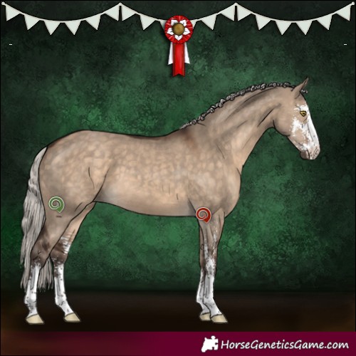 Horse Color:Silver Brown Dun Sabino 
