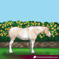 Horse Color:Red Roan Pearl Tobiano Frame 