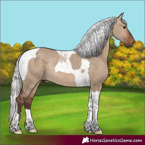 Horse Color:Silver Brown Dun Tobiano Rabicano
