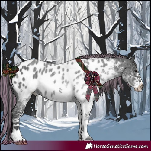 Horse Color:Painted White Spotted Black Ice Appaloosa 