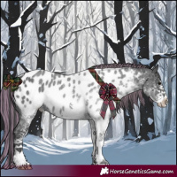 Horse Color:Painted White Spotted Black Ice Appaloosa
