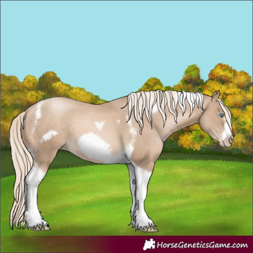 Horse Color:Chocolate Palomino Pearl Tobiano Frame  and Chocolate Palomino Pearl Tobiano Frame 