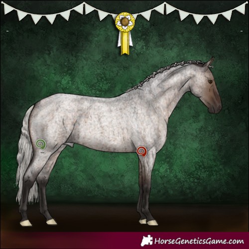 Horse Color:Silver Brown Roan Dun Brindle 