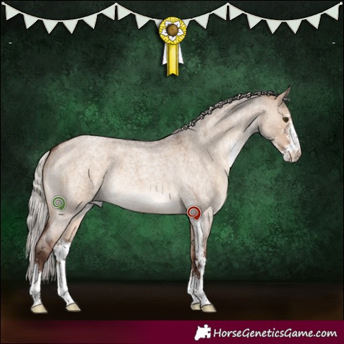 Horse Color:Silver Brown Roan Dun Sabino 