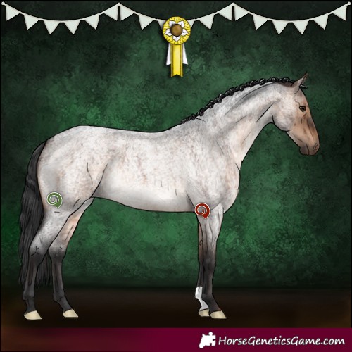 Horse Color:Brown Roan Dun Brindle 