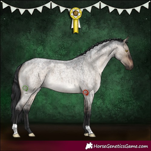 Horse Color:Brown Roan Dun 