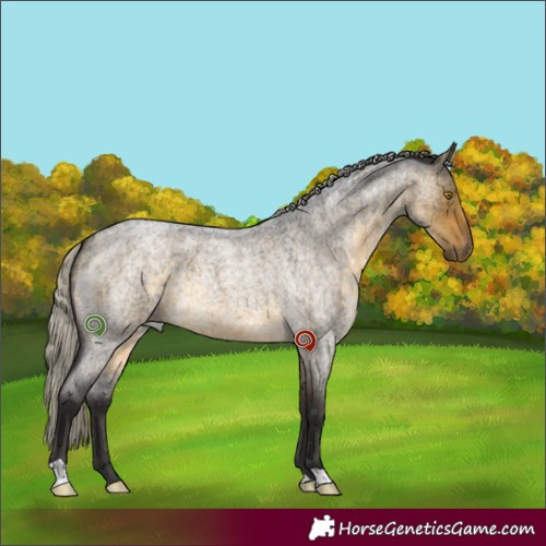 Horse Color:Silver Buckskin Roan Dun Brindle 