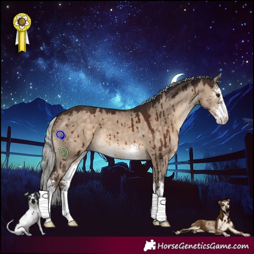 Horse Color:Silver Brown Dun Sabino Brindle 