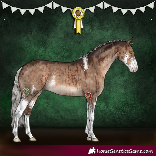 Horse Color:Silver Brown Dun Sabino Brindle 