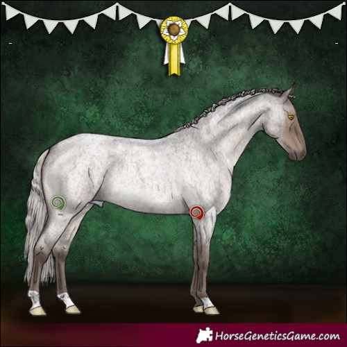 Horse Color:Silver Grullo Roan Brindle 