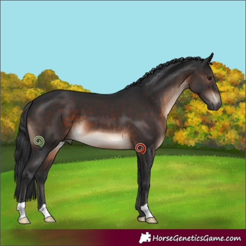 Horse Color:Brown 