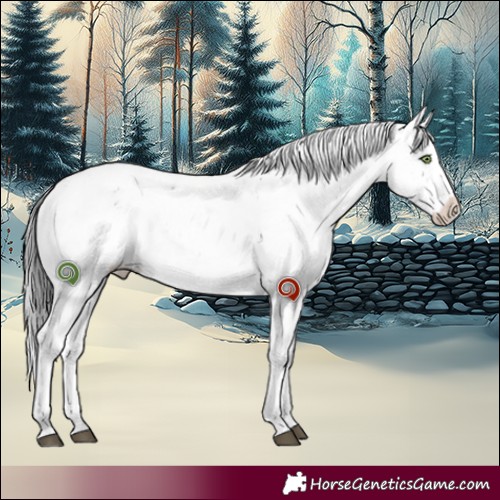 Horse Color:Brown Dun Mushroom Sabino 