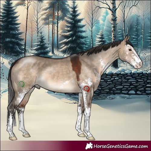 Horse Color:Brown Dun Sabino 