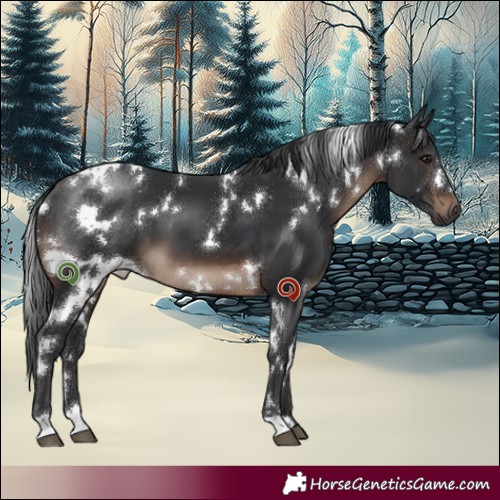 Horse Color:White Spotted Brown 