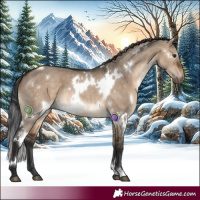 Horse Color:White Spotted Brown Dun