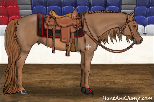 Horse Color:Red Roan 