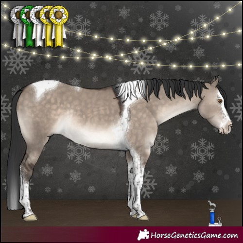 Horse Color:Brown Dun Mushroom Splash Tobiano Rabicano