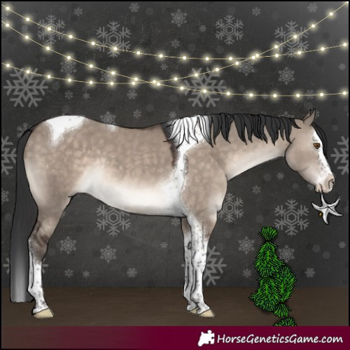 Horse Color:Brown Dun Mushroom Splash Tobiano Rabicano 