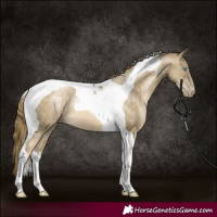 Horse Color:Buckskin Pearl Tobiano 