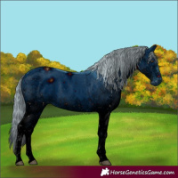 Horse Color:ERROR: UNKNOWN ANOMALY