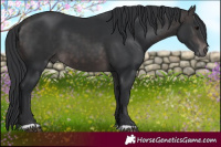 Horse Color:Platinum Brown 